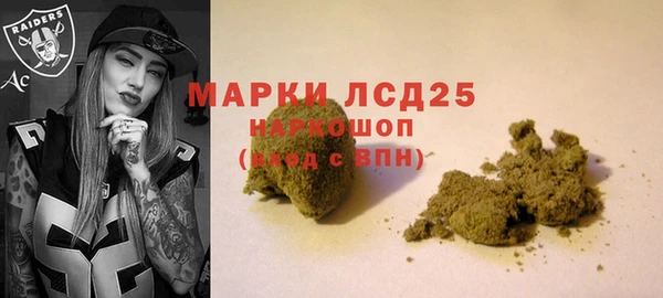 стаф Елабуга