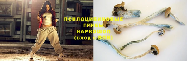 стаф Елабуга