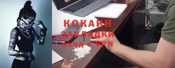 трава Елизово