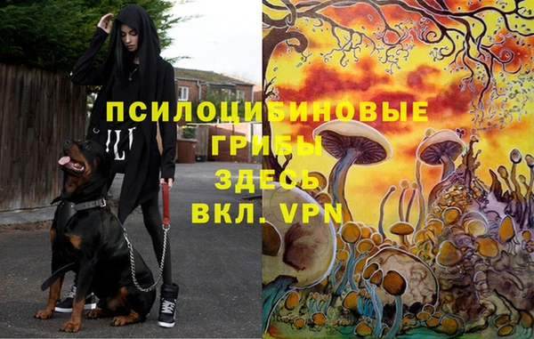 стаф Елабуга