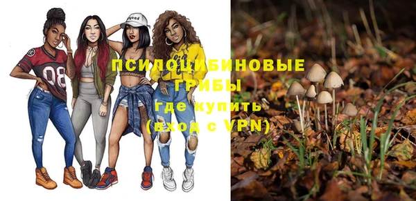 трава Елизово