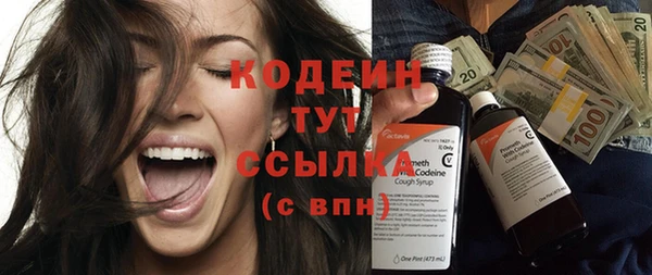 твердый Ельня