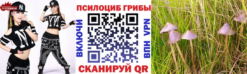 Галлюциногенные грибы Psilocybe  закладки  Завитинск 